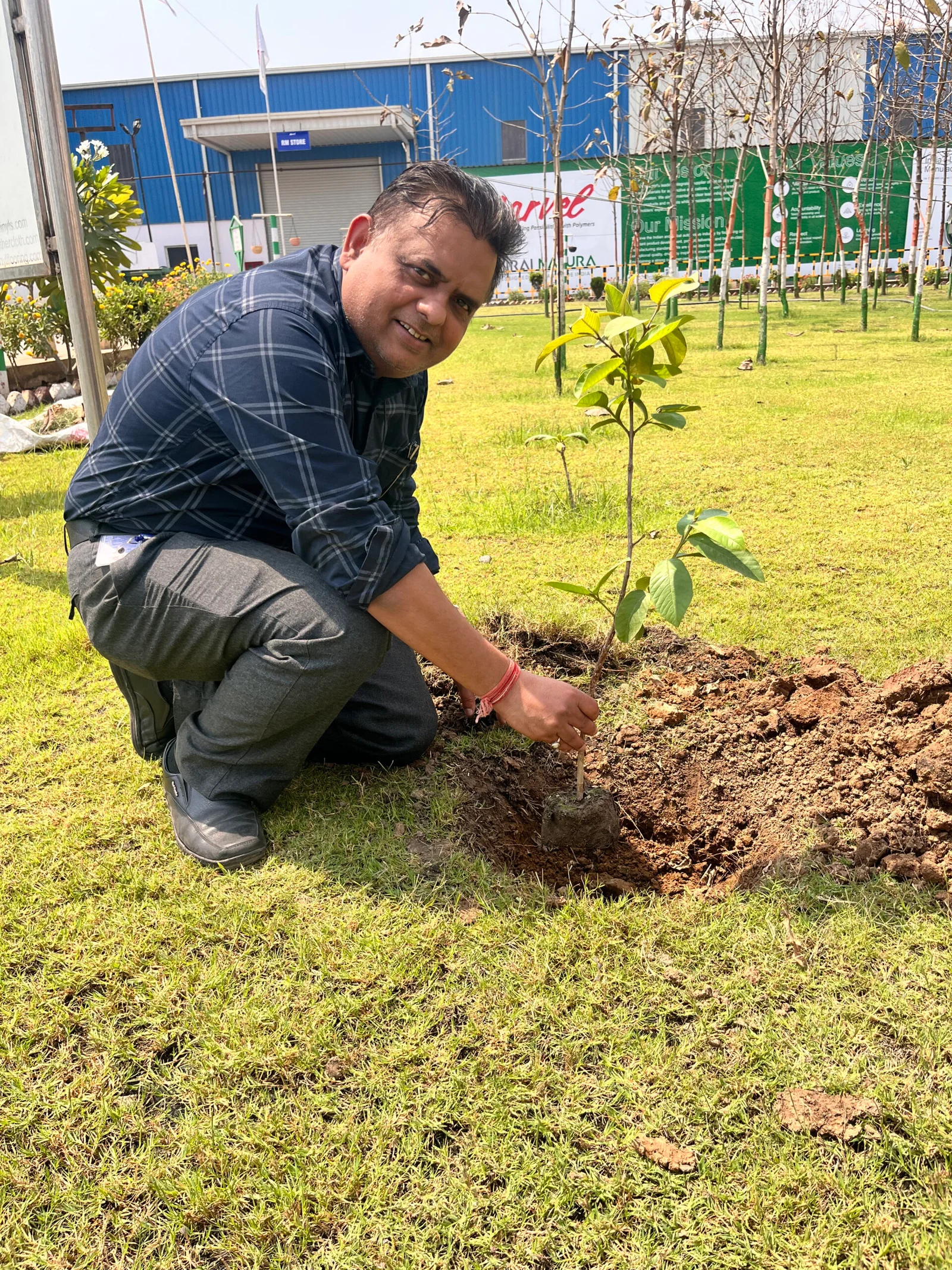 Employees planting saplings on Plantation Day